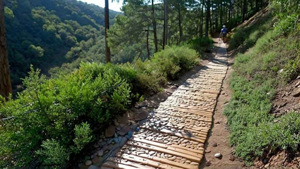 Hiker in sunhat on rocky Big Cedar Wilderness Trail surrounded by cedar trees and canyon views in Dallas.