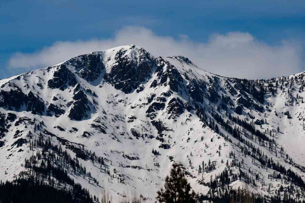 Scenic view along the Mount Tallac near Lake Tahoe, featuring natural terrain, lush forest, lake views, and hikers enjoying the picturesque landscape in realistic lighting.