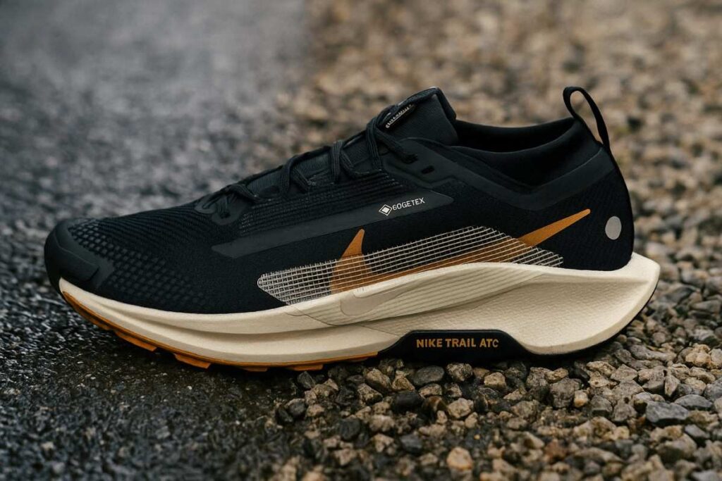 Nike Pegasus Trail 5 GTX waterproof road-to-trail running shoes on wet asphalt and gravel.
