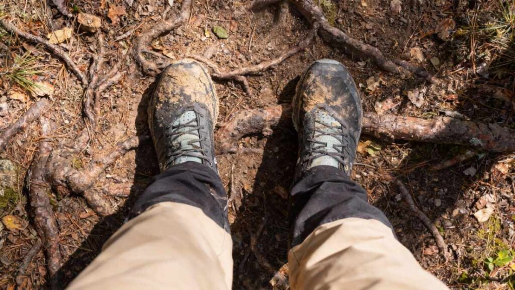 Above angle view of hiker's legs wearing On Cloudventure standing on rooty trail.